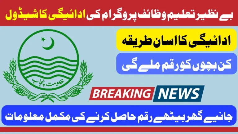 Benazir Taleemi Wazaifa Payment Schedule 2025