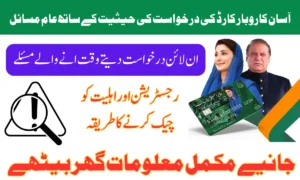 Breaking Update, Frequent Problems with Asaan Karobar Card Application Status 2025