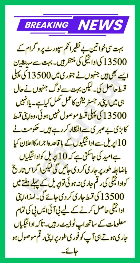8171 Benazir Income Support