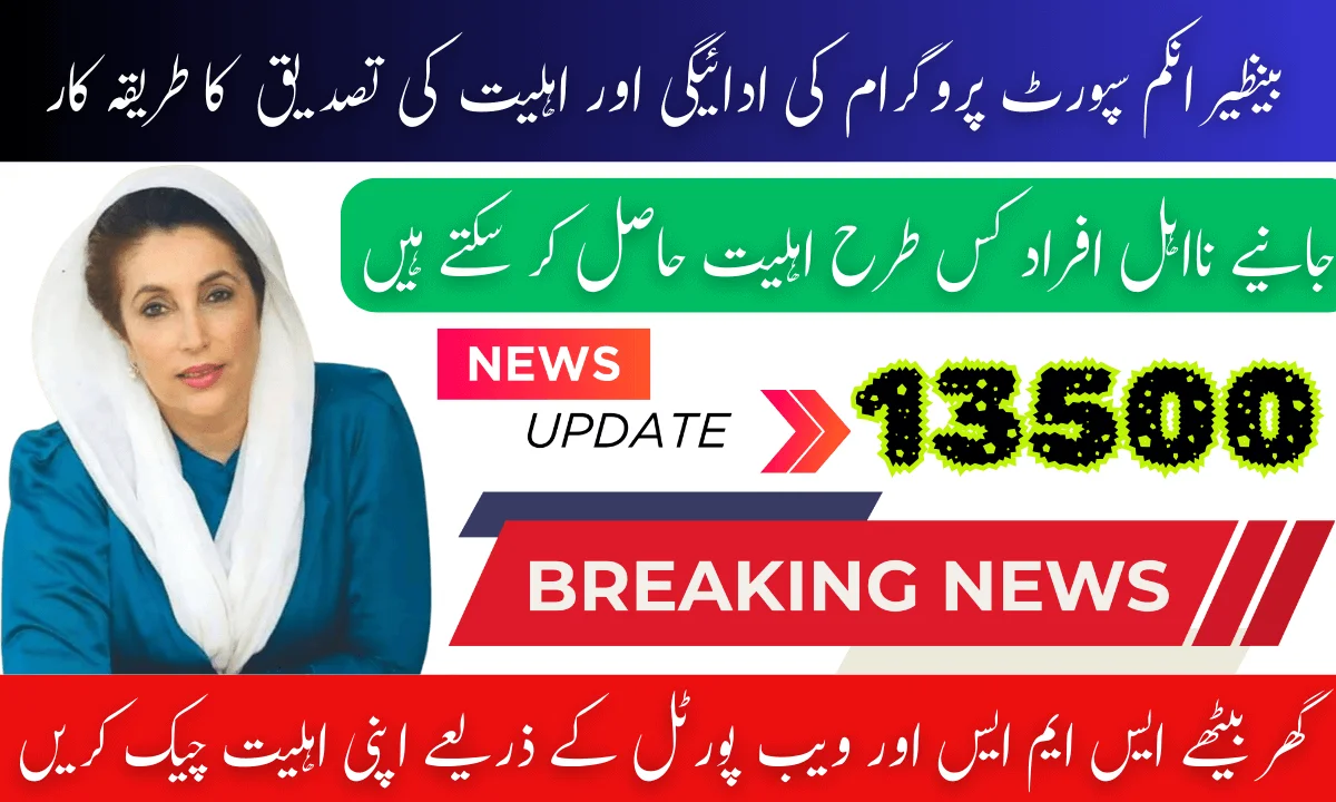 8171 Benazir Income Support