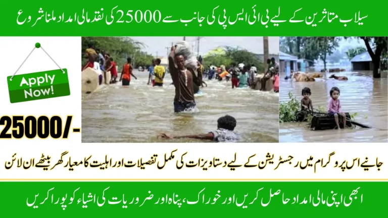 BISP 25000 Payment Registration For Flood-Affected Families, Reveal Current Application Info