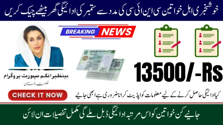 BISP 8171 CNIC Check Online, September 2025 Welfare Payment Update