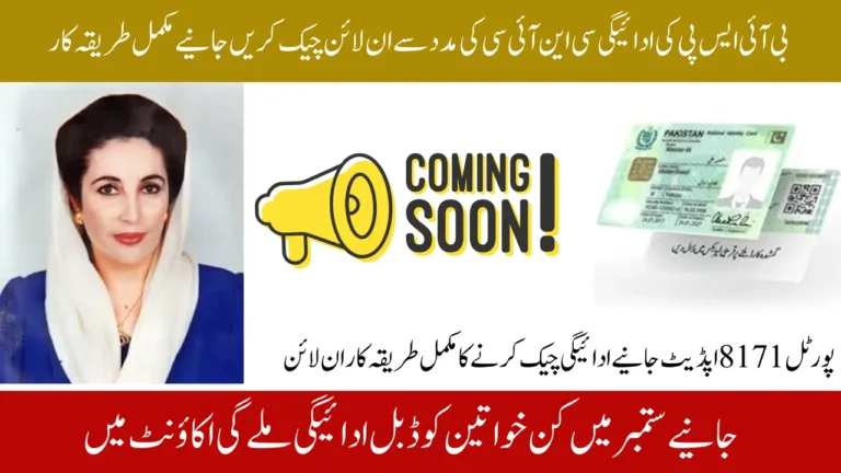 BISP 8171 CNIC Status Check for Financial Assistance