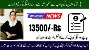 BISP 8171 September 2025 Payment Update, Lookup New Installment Online