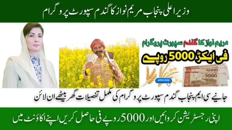 CM Punjab Wheat Support Program 2025, Online Enrollment and CNIC Assessment