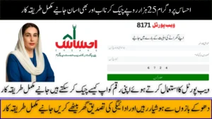 Ehsaas Program 25,000 CNIC Check 2025, Online Verification Guide