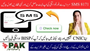 BISP 8171 How to Use SMS Code Service for Instant Status Updates