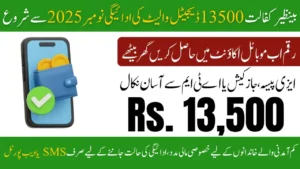 Benazir Kafalat 13500 Digital Wallet Payment Start November 2025,  Activation & Status Check Now