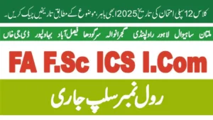 Class 12 Supply Exam Date 2025 Out Now, Check Subject Wise Dates