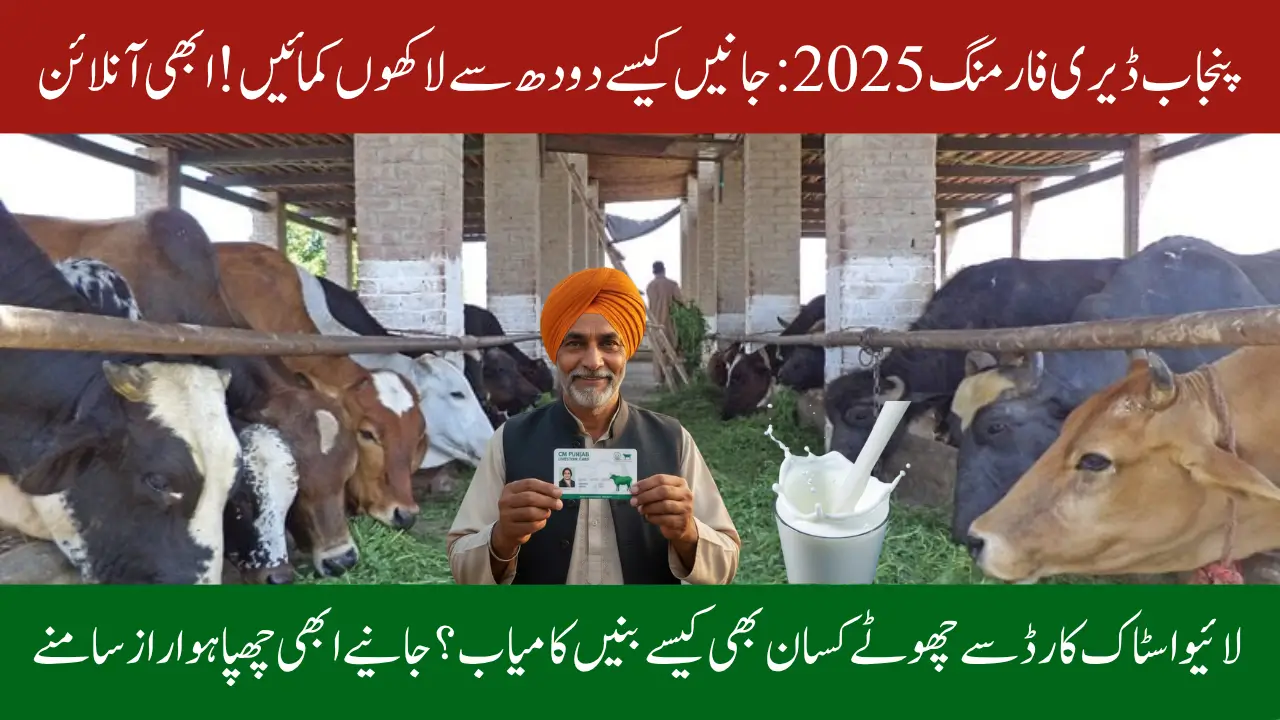 Punjab Dairy Farming 2025: Costs, Revenue & Livestock Card Distribution Explained