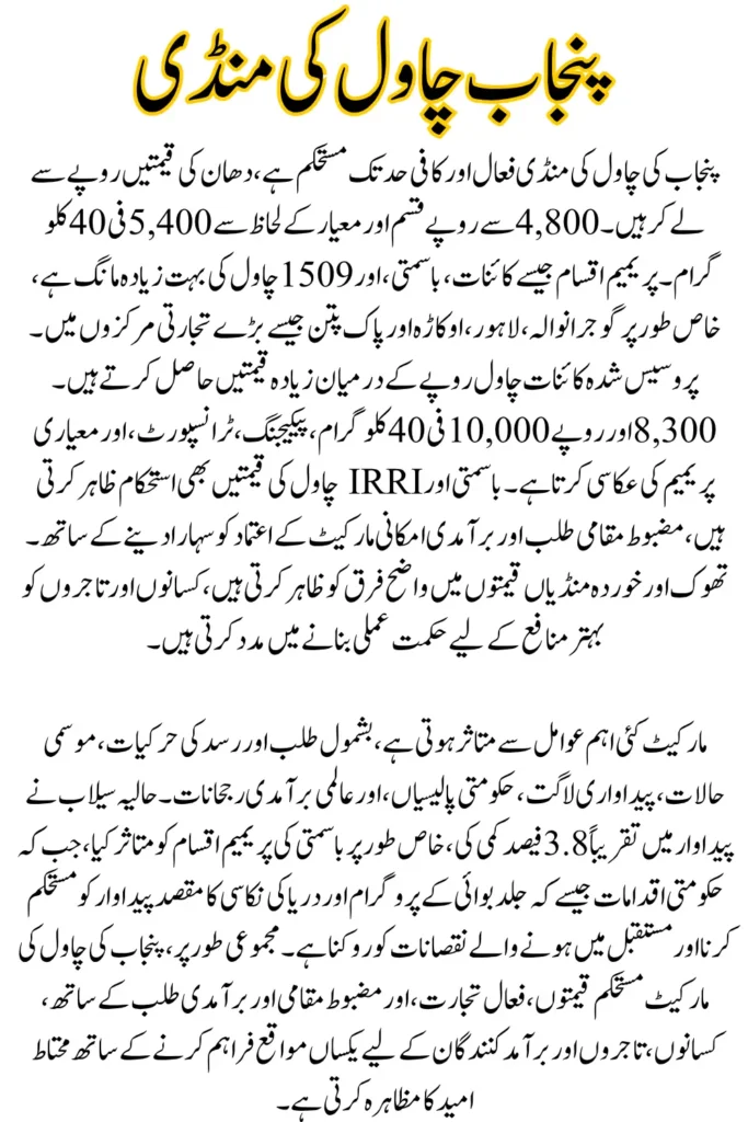 Punjab Rice Prices Today in Pakistan, Live City-Wise Market Updates, and Final Summary