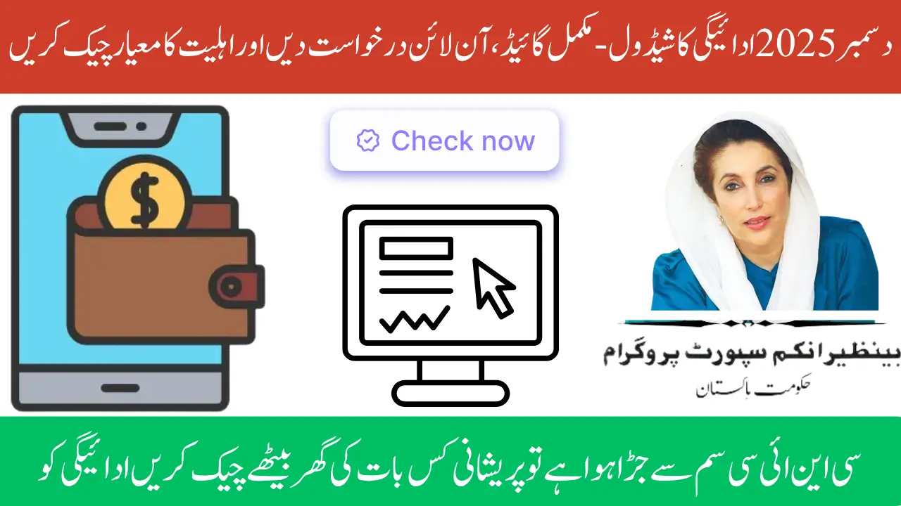 8171 December 2025 Payment Schedule – Complete Guide, Apply Online and Check Qualification Criteria