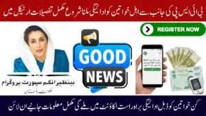 BISP 8171 November 2025 Payment Update – New Beneficiary List Released & CNIC Verification Live