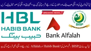 BISP 8171 Payment Started via Habib Bank & Alfalah – Check Your Payment Status Now